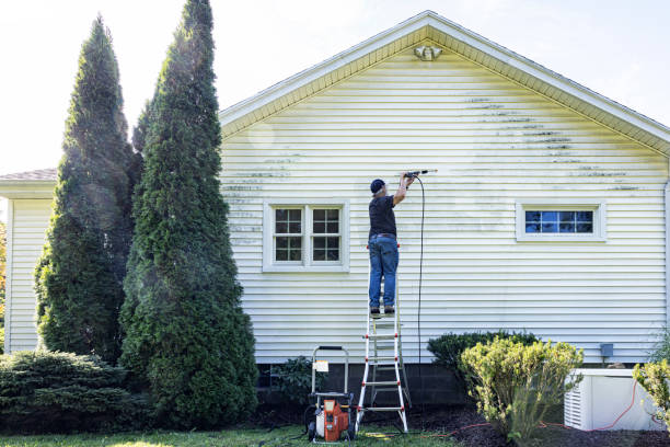 Trusted Amelia, OH Pressure Washing Services Experts